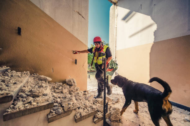 rescuer search with help of rescue dog stock photo Rescuer search trough ruins of building with help of rescue dog. search and rescue dog photos stock pictures, royalty-free photos & images