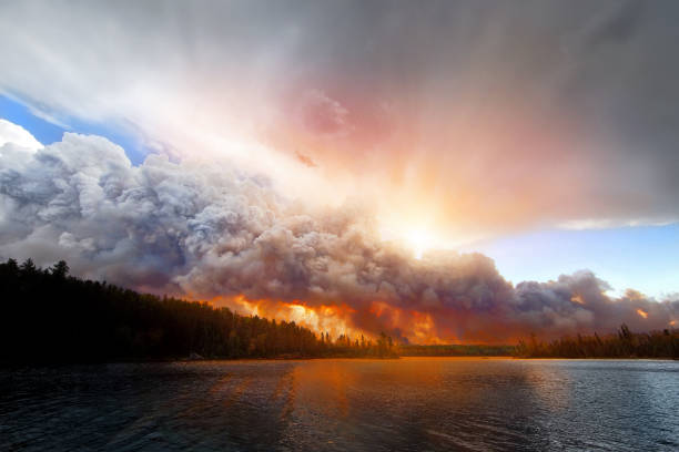 pagami creek wildfire. boundary waters canoe area - boundary waters canoe area imagens e fotografias de stock