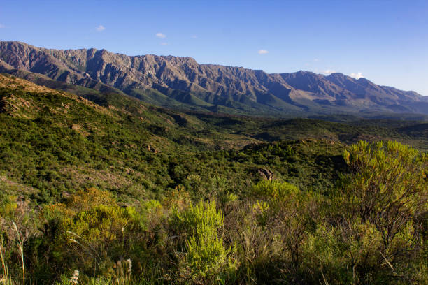 istock Green mountains landscape on a summer day. 1279239488
