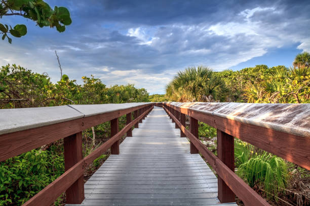 遊歩道は裸足ビーチの白い砂浜につながる - bonita springs ストックフォトと画像