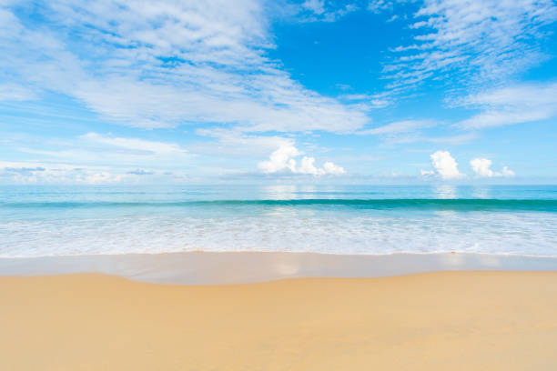 istock Landscape view of beach sand and sea background 1279246496