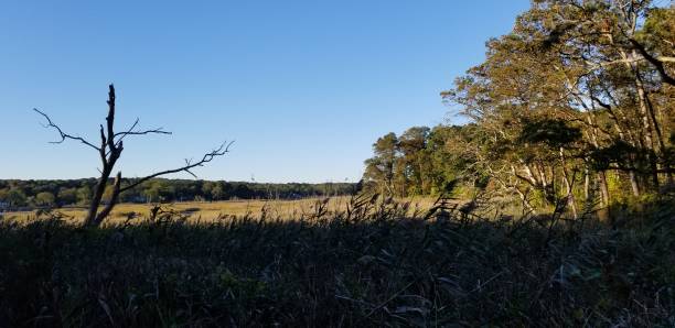 istock Morning at Sunken Meadow #2 1279246508
