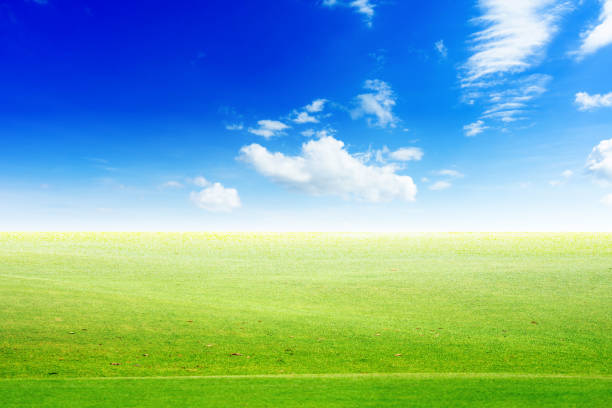 istock Landscape view of green grass on slope with blue sky and clouds background. 1279247021
