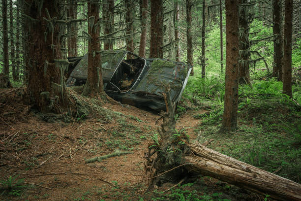 A car wreck discovered during a walk through the undergrowth of a small forest which appears to have been there for years.