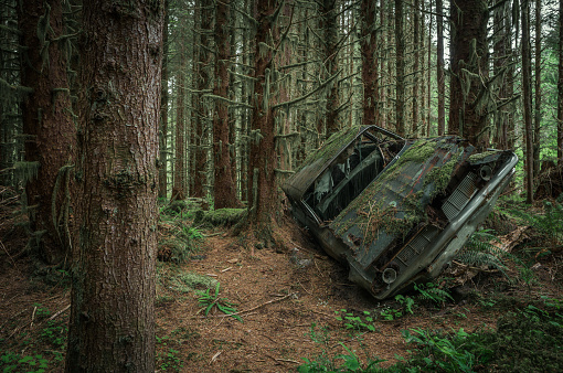 Old rusted abandoned vehicle in a Vancouver Island rainforest.
