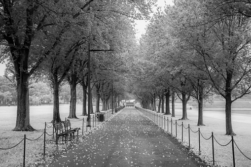 Foot path leading to the Lincoln Memorial in Washington DC on a wet autumn day. B&W.