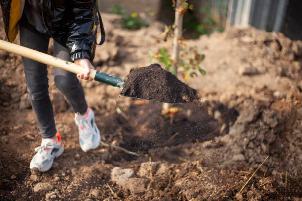 istock Planting a seedling in the ground. Shovel with earth 1279248731