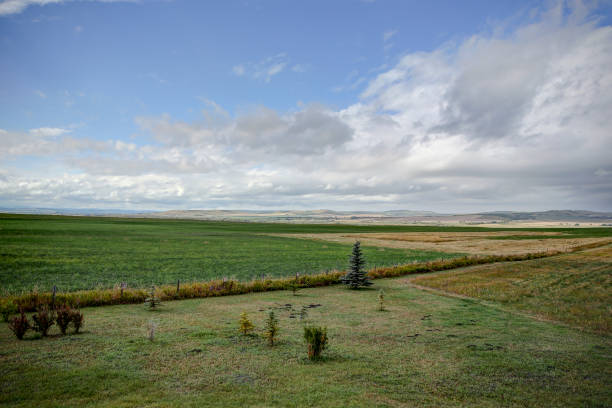 vista de las praderas cerca de okotoks alberta - okotoks fotografías e imágenes de stock