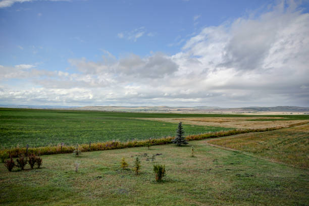 widok na prerie w pobliżu okotoks alberta - okotoks zdjęcia i obrazy z banku zdjęć