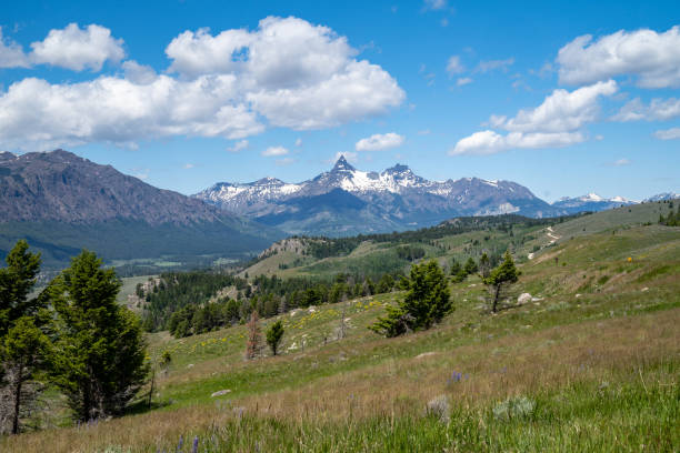 istock Beautiful meadow along the Beartooth Highway, lookout out at the Absaroka range 1279249631