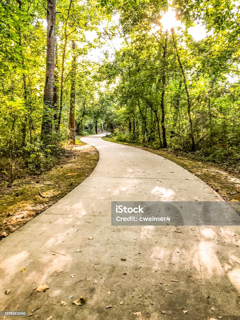 Empty Walkway With Curve An empty pathway that leads through the forest makes for an inviting scene. Georgia - US State Stock Photo