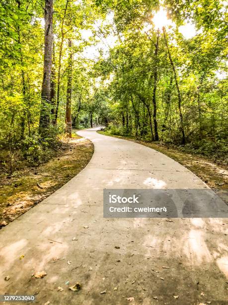Empty Walkway With Curve Stock Photo - Download Image Now - Georgia - US State, Road, Scenics - Nature