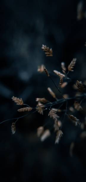 istock Still life photography 1279254253