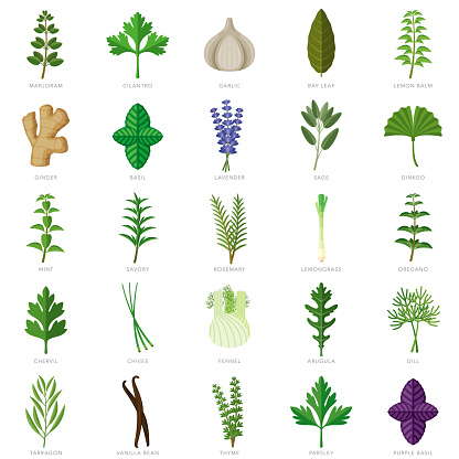A set of fresh herb and spice icons. File is built in the CMYK color space for optimal printing. Color swatches are global so it’s easy to edit and change the colors.