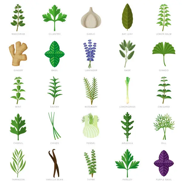 Vector illustration of Herbs and Spices Icon Set