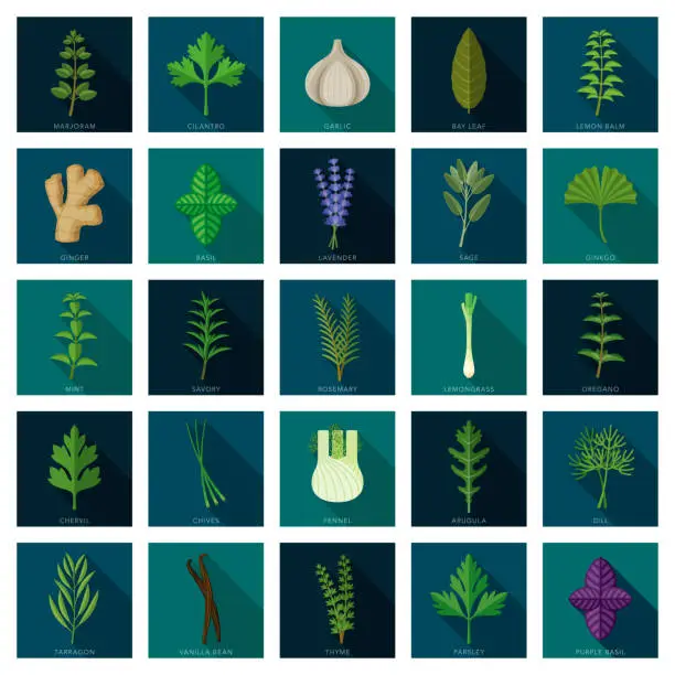 Vector illustration of Herbs and Spices Icon Set