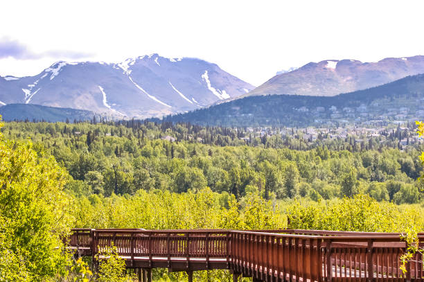 Potter's Marsh June 5,, 2020, offers a variety of scenic backgrounds. The panoramic view from the public park is breath taking. On this Warm day of Summer the icy snows of winter have given way to the lush greens of Summer.  Visitors can enjoy the variety of views this area offers no matter what the season.