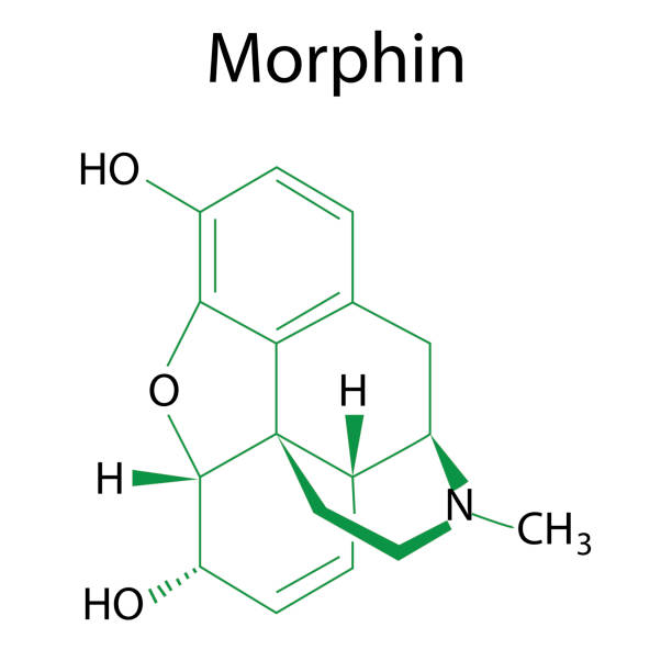 +190 Morfina Farmaco Illustrazioni stock, grafiche vettoriali royalty