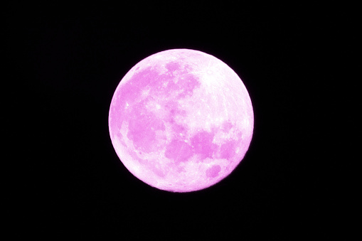 Bright and big pink full moon