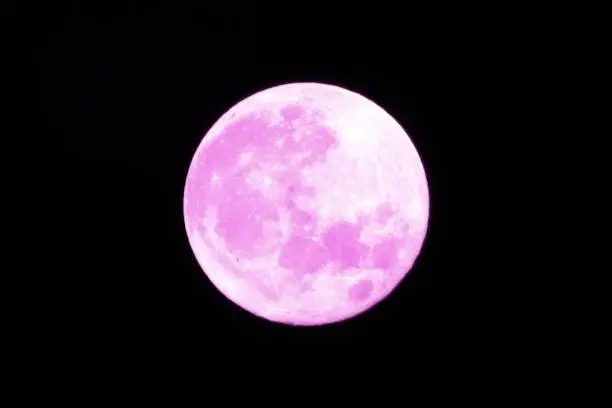 Photo of Bright and big pink full moon