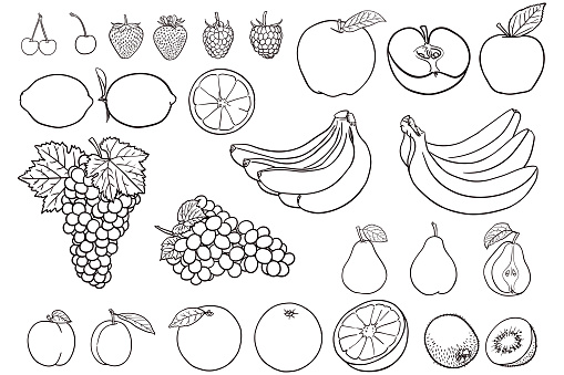 Vector illustration of various fruit. There is cherry, strawberry, raspberry, apple, lemon, grapes, banana, pear, plum, orange and kiwi
