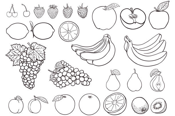 Simple drawings of fruit for coloring books Vector illustration of various fruit. There is cherry, strawberry, raspberry, apple, lemon, grapes, banana, pear, plum, orange and kiwi banana drawings stock illustrations