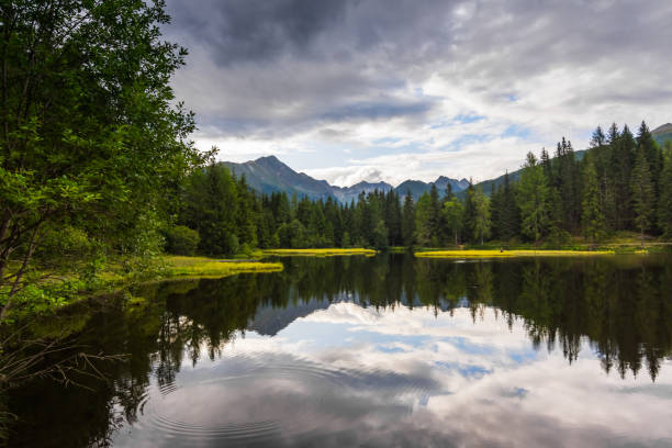 istock beautiful reflection in a mountain lake with forest and mountains 1279273922