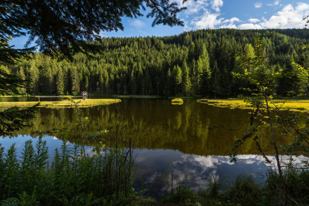 istock beautiful mountain lake with reflection while hiking in the nature 1279273937