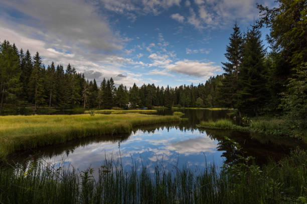 istock nature landscape with reflections in a mountain lake 1279273966