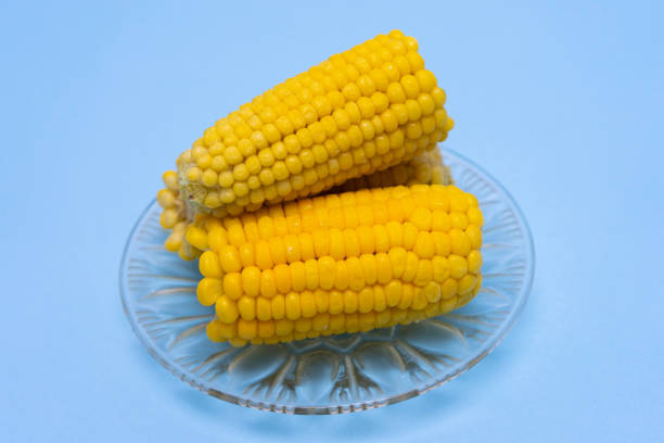 Cooking Corn on the Cob stock photo