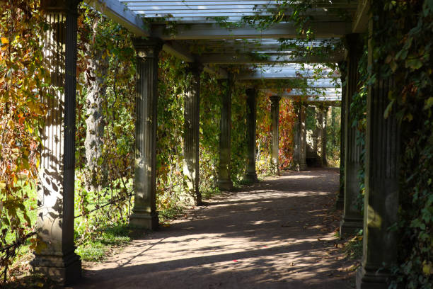 istock autumn landscape in a park 1279287592