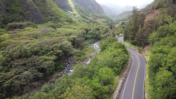 istock iao valley, Maui Hi 1279288832