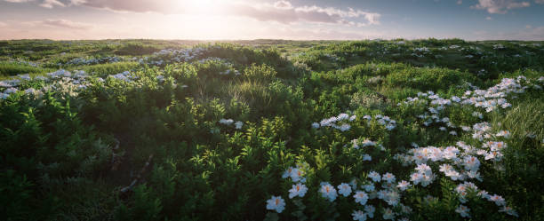 Spacious fresh grass landscape in beautiful morning light. 3d rendering.