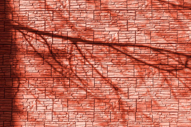 istock the shadow of a tree on a stone wall from the bright orange sun at sunset 1279292926