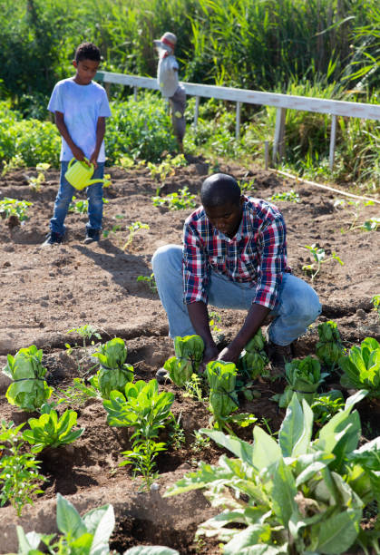 istock Friendly family works on garden beds 1279297633