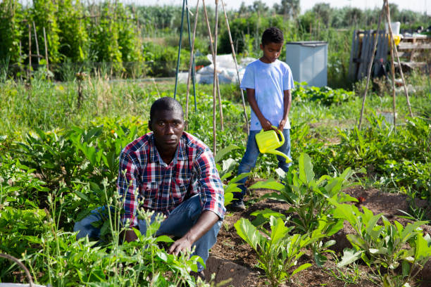 istock Friendly family works on garden beds 1279297640