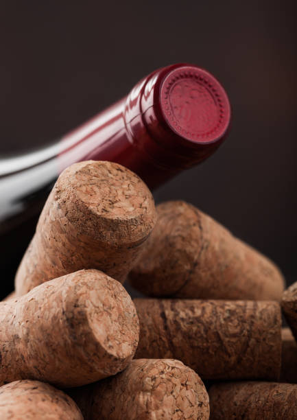 istock Bottle of red wine on top of various wine corks. 1279305666