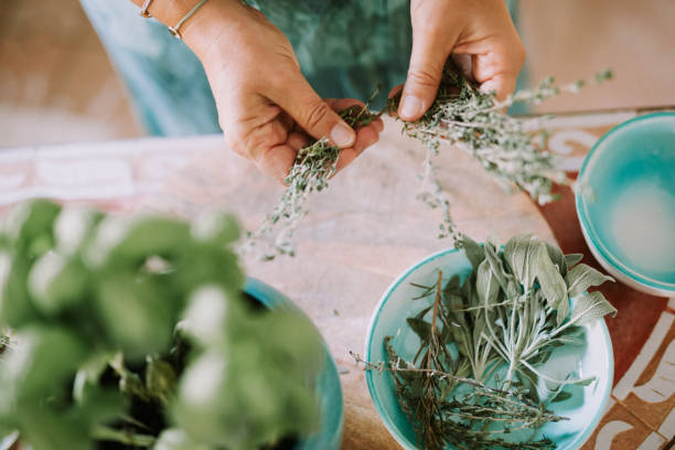 istock Woman prepares garden herbs 1279305872