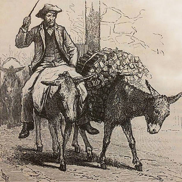 istock Antique illustration - wood peddler with two donkeys - Santa Fe - New Mexico 1279309942