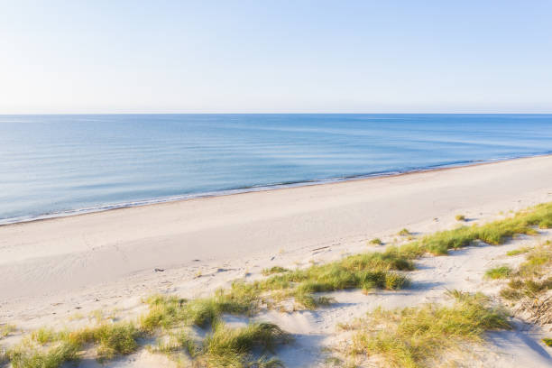 The Curonian Spit in Kaliningrad region, Russia - aerial view of Baltic sea, white sand beach and dunes, covered with pine forest.