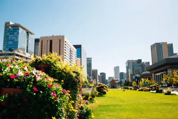 Gwanghwamun square modern office buildings with colorful flowers in Seoul, Korea