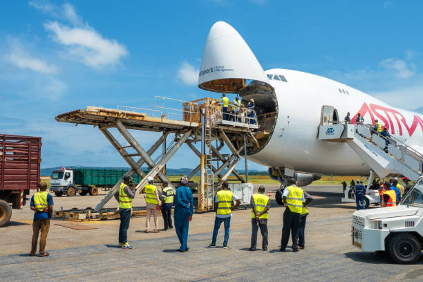나무 상자에 있는 가축은 점보 제트의 높은 로더에 의해 하역되고 넓은 열린 코화물 문이 있는 가축 캐리어로 옮겨짐 - boeing boeing 747 airplane cargo container 뉴스 사진 이미지