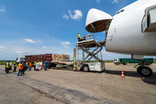 gado em caixas de madeira sendo descarregado por um carregador alto de um boeing b747 jumbo jet com uma porta de carga de nariz aberto e transferido para um transportador de gado - boeing 747 airplane commercial airplane jet - fotografias e filmes do acervo