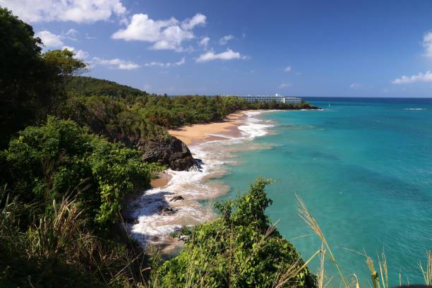 istock Lower Earth Island, Guadeloupe 1279320358