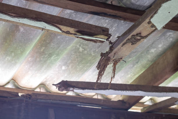 istock Old wooden beam eroded under the ceiling. 1279321525