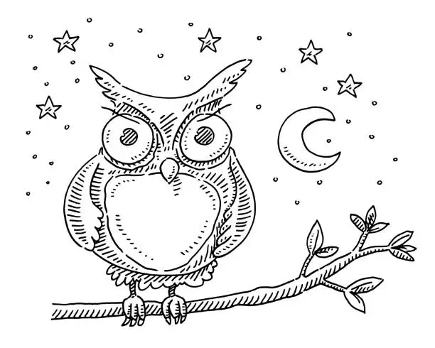 Vector illustration of Angry Cartoon Owl At Night Drawing