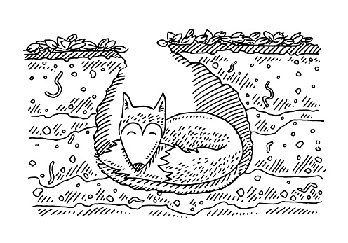 Hand-drawn vector drawing of a Sleeping Cartoon Fox In A Cave. Black-and-White sketch on a transparent background (.eps-file). Included files are EPS (v10) and Hi-Res JPG.