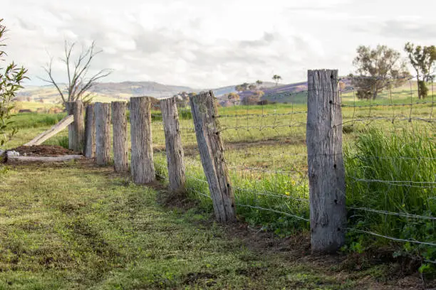 Photo of An old rustic rotting fence paling holds up some barbed wire in a green field