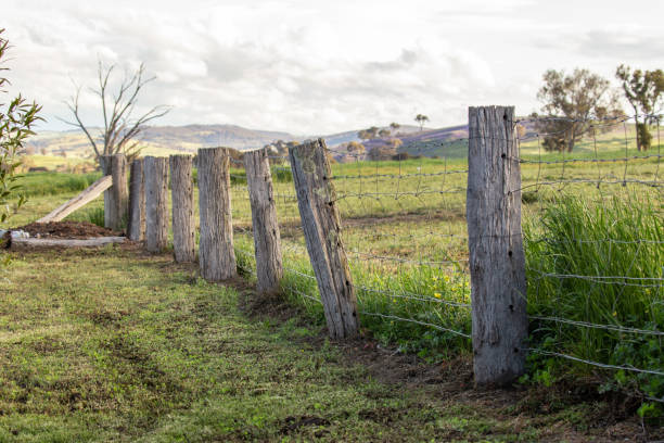 an old rustic rotting fence paling holds up some barbed wire in a green field - barbed wire rural scene wooden post fence imagens e fotografias de stock