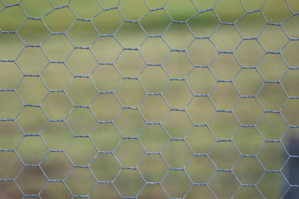 istock Chicken wire fence with blurred green grass background 1279323953